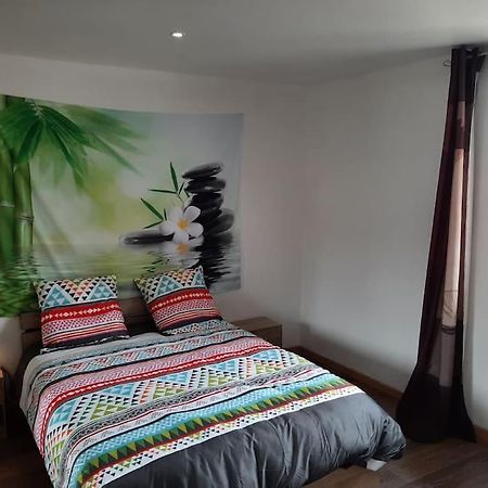 Apartmán T3 Hyper-Centre Au Calme Tout Equipe Parking Prive Castres  Exteriér fotografie