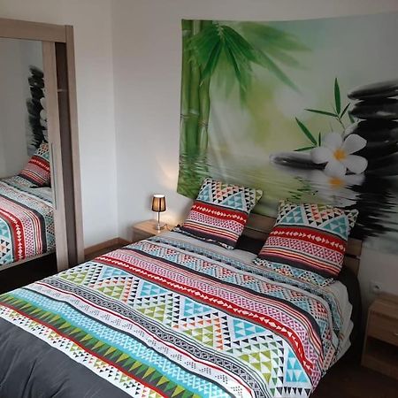 Apartmán T3 Hyper-Centre Au Calme Tout Equipe Parking Prive Castres  Exteriér fotografie