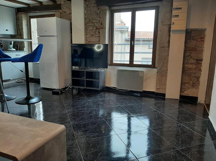 Apartmán T3 Hyper-Centre Au Calme Tout Equipe Parking Prive Castres  Exteriér fotografie
